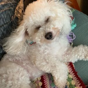 Meet your Posher, Annette